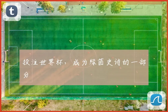 投注世界杯，成为绿茵史诗的一部分