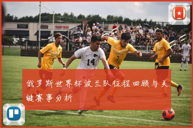 俄罗斯世界杯波兰队征程回顾与关键赛事分析