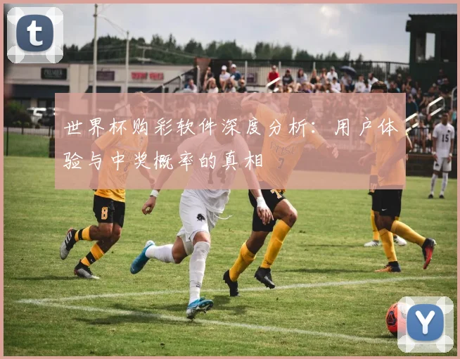 世界杯购彩软件深度分析：用户体验与中奖概率的真相