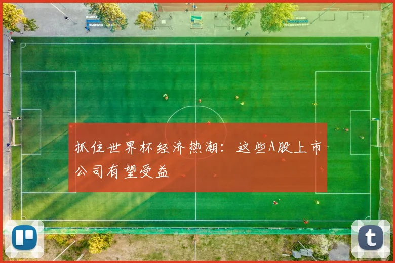 抓住世界杯经济热潮：这些A股上市公司有望受益