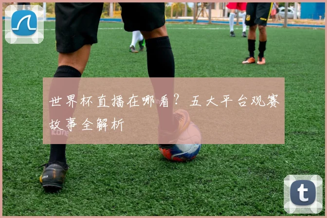 世界杯直播在哪看?五大平台观赛故事全解析