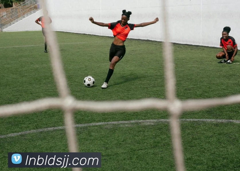 k1体育app官方服务体系